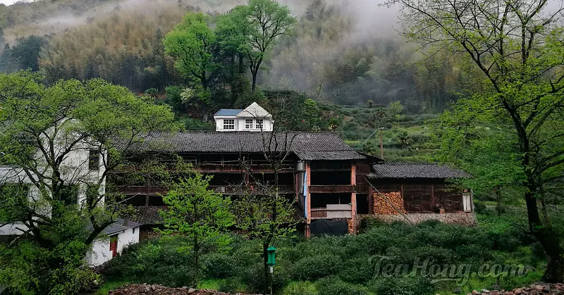Tongmuguan Village Tea — traditional Chinese tea factory