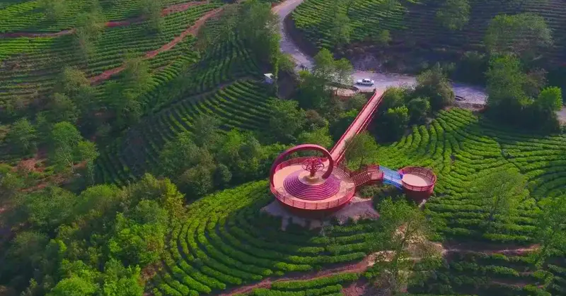 Tengjian Tea Industry — traditional Chinese tea factory