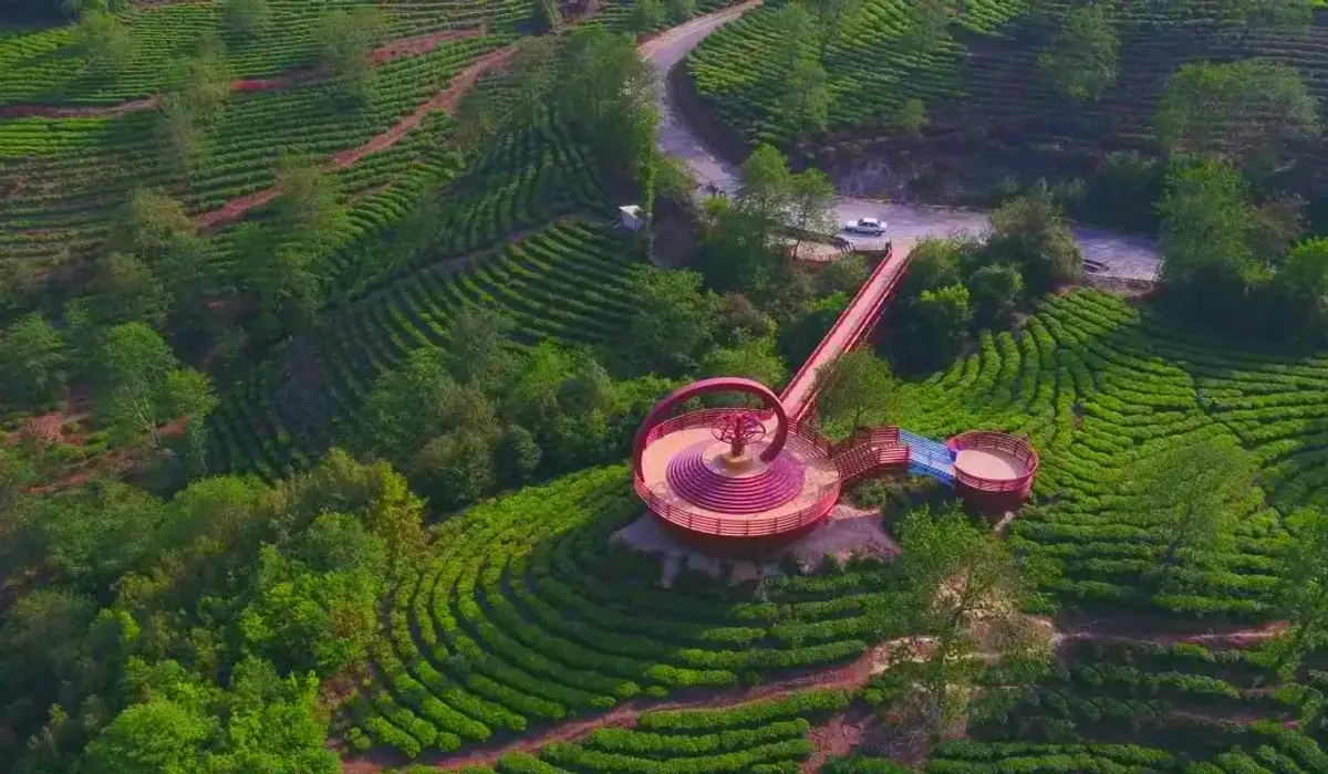 Tengjian Tea Industry — traditional Chinese tea factory