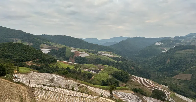Bulang Mountain Producer — traditional Chinese tea factory