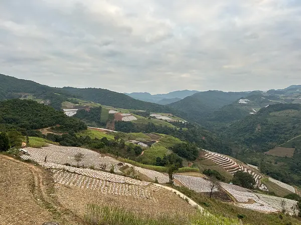 Bulang Mountain Producer
