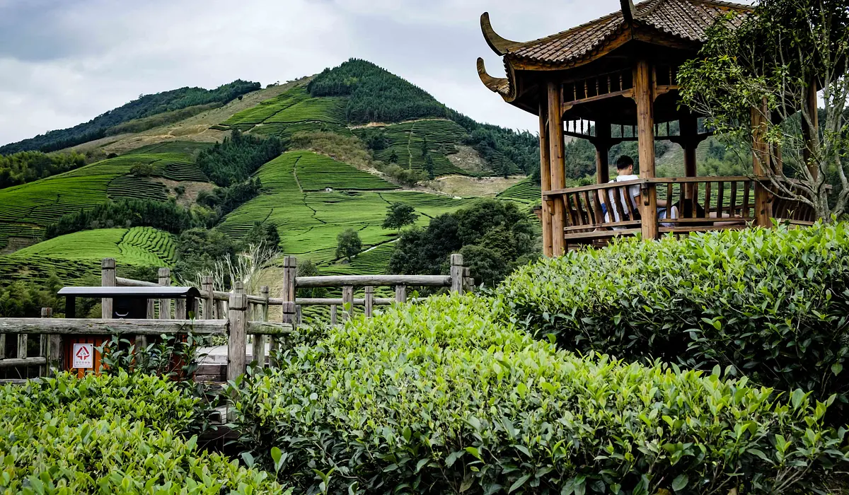 Puwen Tea Factory