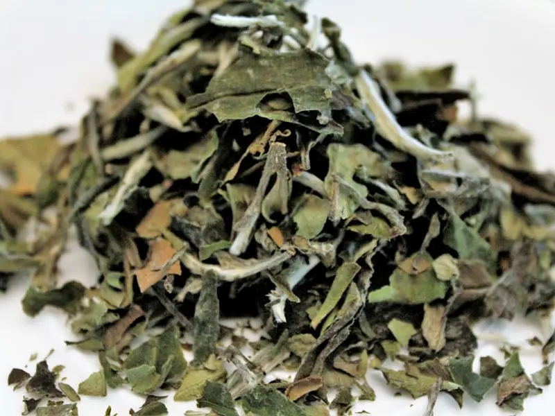 Chá verde
