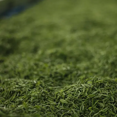 Long Jing (Dragon Well)