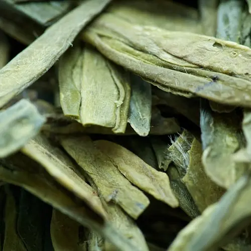 Tie Guan Yin