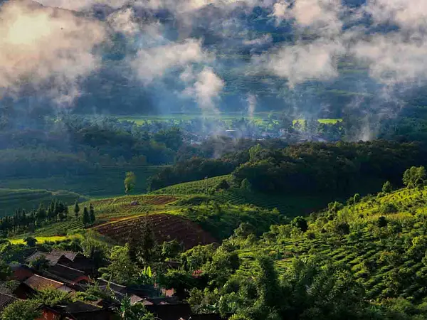 Menghai Original Ecology