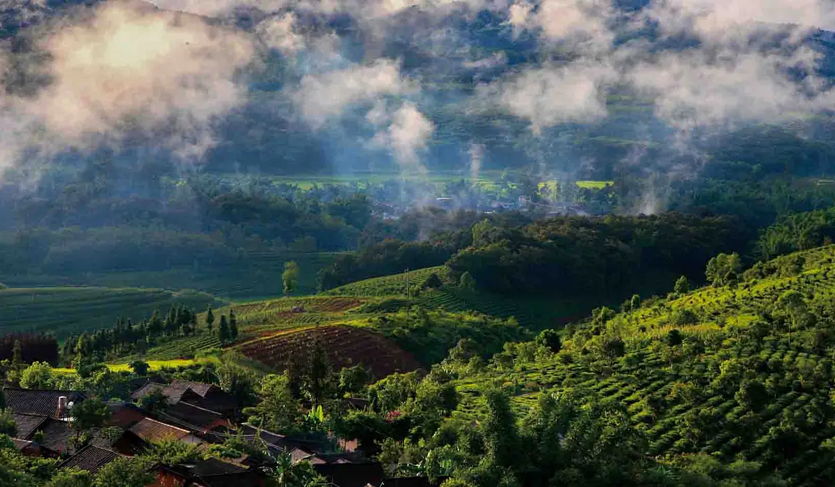 Menghai Original Ecology